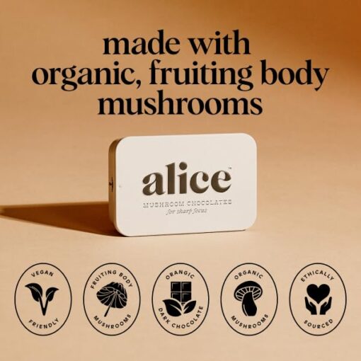 Alice Mushrooms Brainstorm