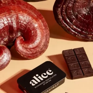 Alice Mushrooms Reviews