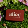 Alice Mushrooms Happy Ending